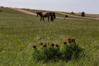 Прикрепленное изображение: IMG_0179.jpg